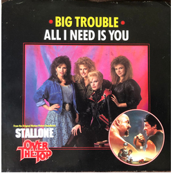 Big Trouble All I Need Is You Vinyl 7" USED