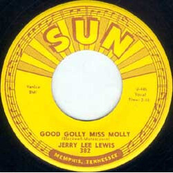 Jerry Lee Lewis Good Golly Miss Molly USED VINYL 7INCH 45 RPM SINGLE
