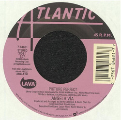 Angela Via Picture Perfect / Retrato Perfecto USED VINYL 7INCH 45 RPM SINGLE