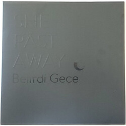 She Past Away Belirdi Gece Vinyl LP USED