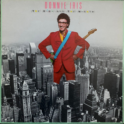Donnie Iris And The Cruisers The High And The Mighty Vinyl LP USED