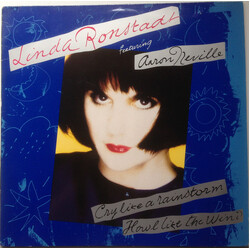 Linda Ronstadt / Aaron Neville Cry Like A Rainstorm - Howl Like The Wind Vinyl LP USED