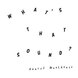 Daniel Woolhouse What's That Sound? Vinyl LP USED