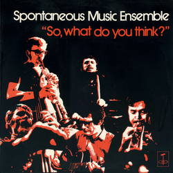 Spontaneous Music Ensemble So, What Do You Think? Vinyl LP USED