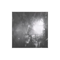 The Black Vial Noise Frequency PWM Vinyl LP USED