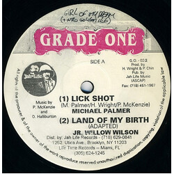 Michael Palmer / Junior Wilson Lick Shot / Land Of My Birth USED VINYL 12INCH 45 RPM