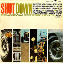 Various Shut Down Vinyl LP USED