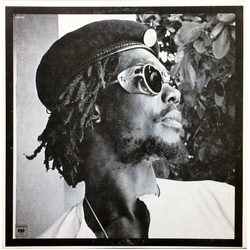 Peter Tosh Get Up, Stand Up Vinyl 12" USED