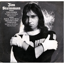Jim Steinman The Storm / Rock And Roll Dreams Come Through USED VINYL 7INCH 33 S RPM SINGLE PROMO