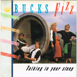 Bucks Fizz Talking In Your Sleep Vinyl 7" USED