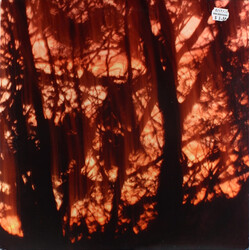 Earthen Sea / Insect Factory Earthen Sea / Insect Factory Vinyl LP USED