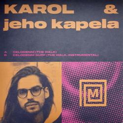 Karol & Jeho Kapela Celodenní (The Walk) Vinyl 7" USED