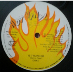 Mighty Duke Is Thunder / Love Vibrations Vinyl 12" USED