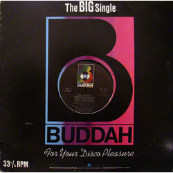 Andrea True Connection What's Your Name, What's Your Number / Fill Me Up (Heart To Heart) USED VINYL 12INCH SINGLE 33 S RPM