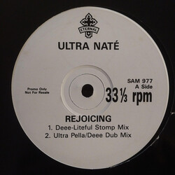 Ultra Naté Rejoicing VINYL 12" USED