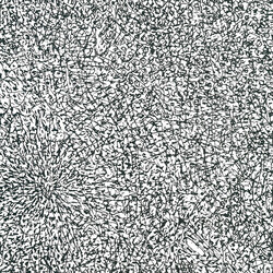Ekman Entropy USED VINYL 12INCH 33 S RPM EP