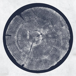 Roy Montgomery R: Tropic of Anodyne Vinyl LP USED