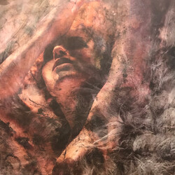 Converge Unloved And Weeded Out Vinyl LP USED