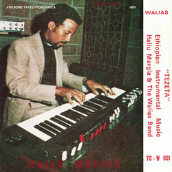 Hailu Mergia / Wallias Band Tezeta Vinyl LP USED