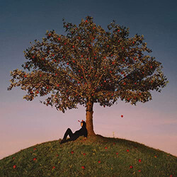 slowthai TYRON Vinyl LP USED