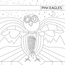 Pink Eagles Pink Eagles Vinyl LP USED