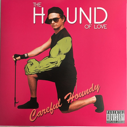 The Hound Of Love Careful Houndy Vinyl LP USED