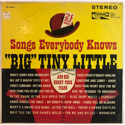 "Big" Tiny Little Songs Everybody Knows Vinyl LP USED