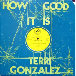 Terri Gonzalez How Good It Is USED VINYL 12INCH 33 S RPM SINGLE