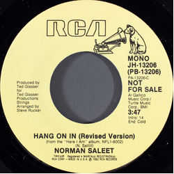 Norman Saleet Hang On In (Revised Version) Vinyl 7" USED