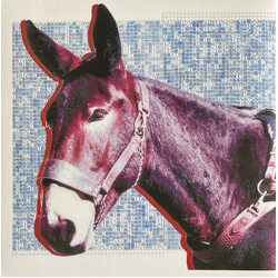 Protomartyr (2) Ultimate Success Today Vinyl LP USED