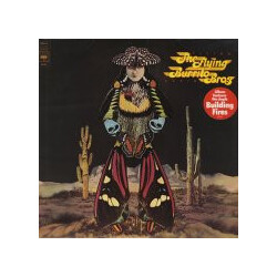The Flying Burrito Bros Flying Again Vinyl LP USED