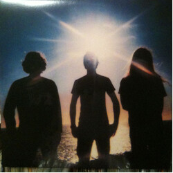 The Fucking Champs IV Vinyl LP USED