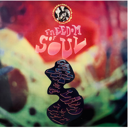 Freedom Of Soul Caught In A Land Of Time Vinyl LP USED