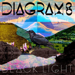 Diagrams Black Light Vinyl LP USED