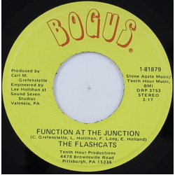 The Flashcats Function At The Junction / Wrap It Up Vinyl 7" USED