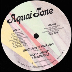 Mikey Jarrett / Debbe Cole What Good Is Your Love USED VINYL 12INCH 33 S RPM