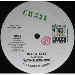 Wayne Wonder / Computer Paul Is It A Test / Version USED VINYL 12INCH