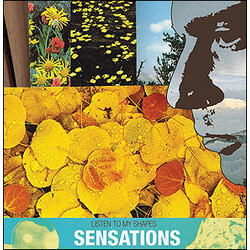 Sensations (4) Listen To My Shapes Vinyl LP USED