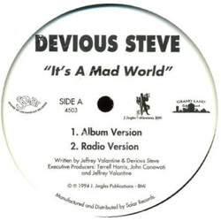Devious Steve It's A Mad World USED VINYL 12INCH