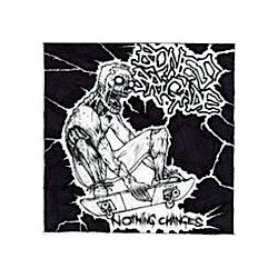 Bones Brigade Nothing Changes USED VINYL 7INCH 33 S RPM SINGLE SIDED WHITE LABEL