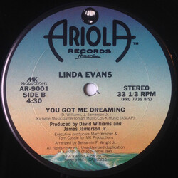 Linda Evans Don't You Need / You Got Me Dreaming USED VINYL 12INCH 33 S RPM
