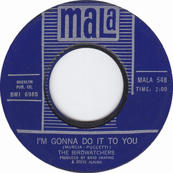 The Birdwatchers I'm Gonna Do It To You USED VINYL 7INCH 45 RPM