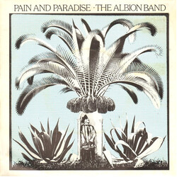 The Albion Band Pain And Paradise USED VINYL 7INCH 45 RPM SINGLE