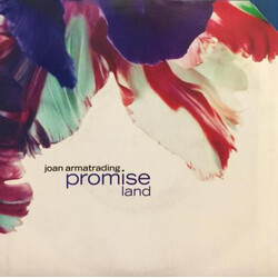 Joan Armatrading Promise Land USED VINYL 7INCH 45 RPM SINGLE