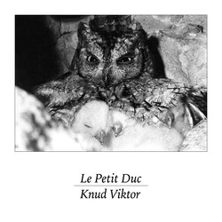 Knud Viktor Le Petit Duc USED VINYL 7INCH 45 RPM SINGLE