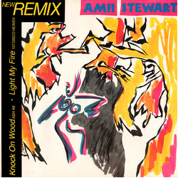 Amii Stewart Knock On Wood / Ash 48 / Light My Fire / 137 Disco Heaven (New Remix) Vinyl 12" USED
