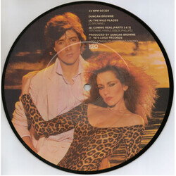 Duncan Browne The Wild Places USED VINYL 7INCH PICTURE DISC LIMITED EDITION