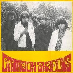 Crimson Shadows Hangin' Out! Vinyl LP USED