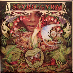 Spyro Gyra Morning Dance Vinyl LP USED