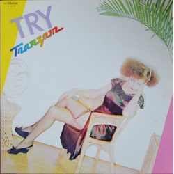 Tranzam Try Vinyl LP USED